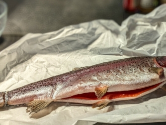 Saibling beim Fisch Kochkurs in der Kochschule Marieneck Köln Saibling beim Fisch Kochkurs in derKochschule Marieneck Köln