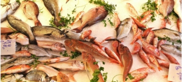 Kochkurs Fischmarkt in der Kochschule Marieneck Köln