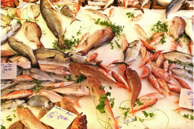 Kochkurs Fischmarkt in der Kochschule Marieneck Köln